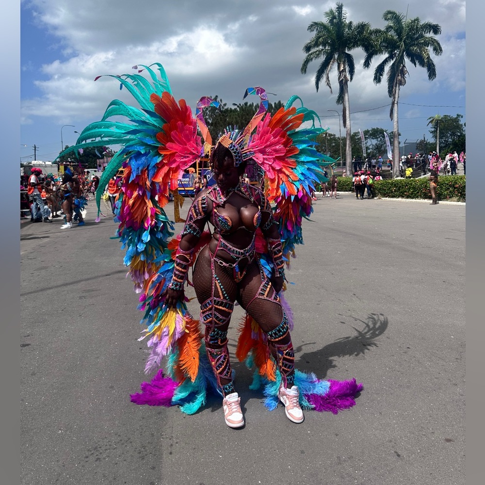 Carnival wings/backpack/feathers